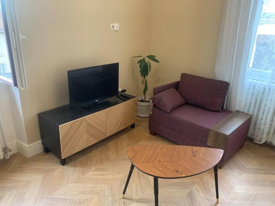 Appartement Centre Ville Historique - Le Modene Вьен Экстерьер фото